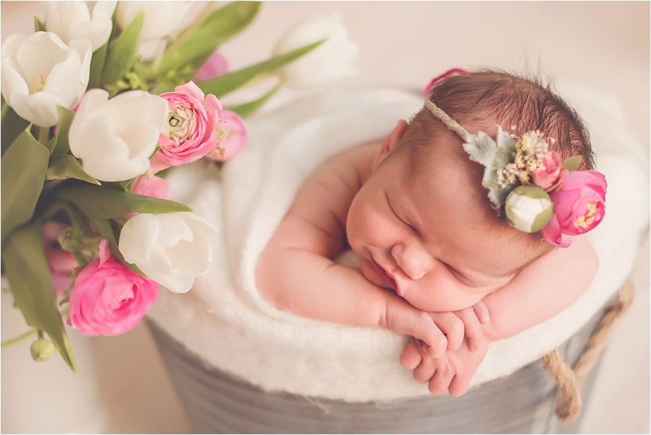 Chicago Newborn Photographer Hannah Drews Photography